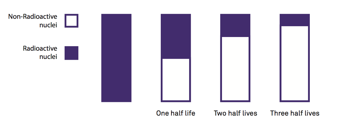 bar chart showing half life decay