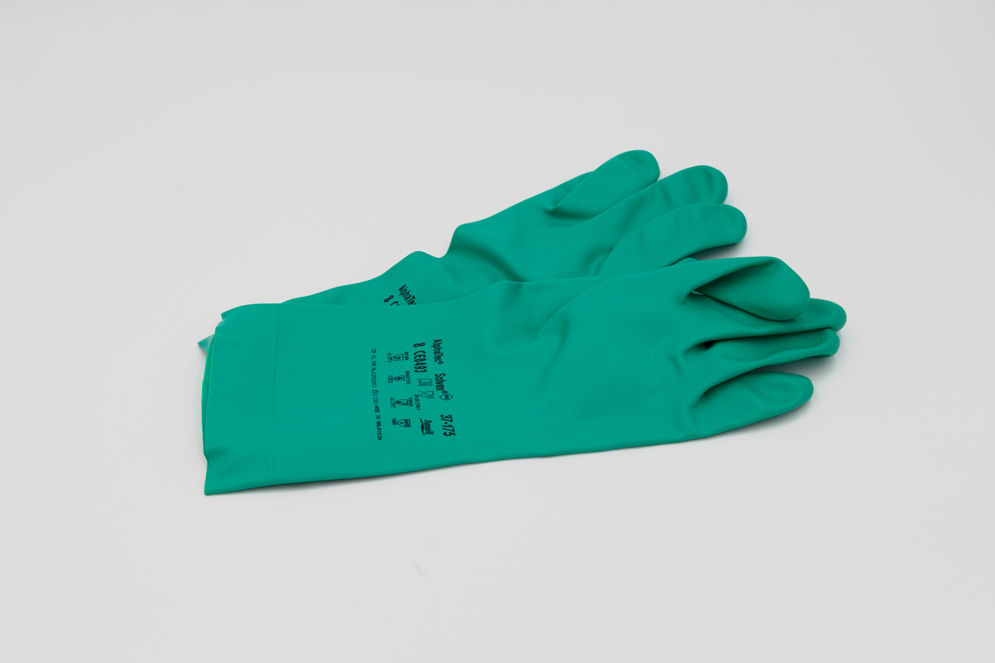 Turquoise gloves on white background